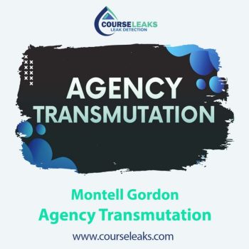 Montell Gordon Agency Transmutation